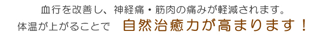 血行を改善し、神経痛・筋肉の痛みが軽減されます。体温が上がることで、自然治癒力が高まります!